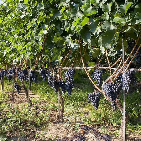 Ca Da Basura Bauernhof Leuso